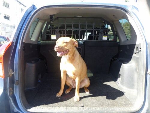 Kaon Light Cargo & Pet Barrier to suit Toyota RAV4 Gen 3 (KS0003) - Image 4
