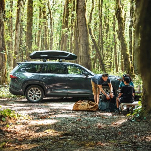 Thule Force 3 L (645700) 450L (195 x 84.5 x 42.5 cm) - Image 8