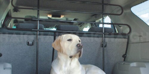 Universal Pet Barrier Haigh