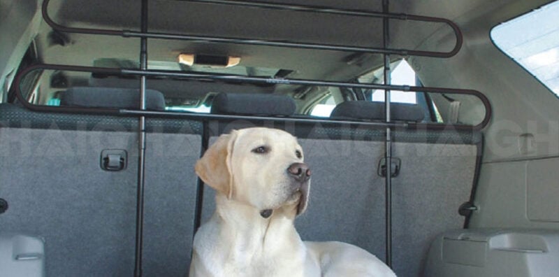 Universal Pet Barrier Haigh
