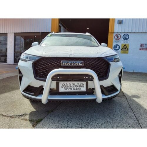 76mm Alloy Brush Finish Nudgebar with Spot Light Tabs to suit 2022 Haval H6