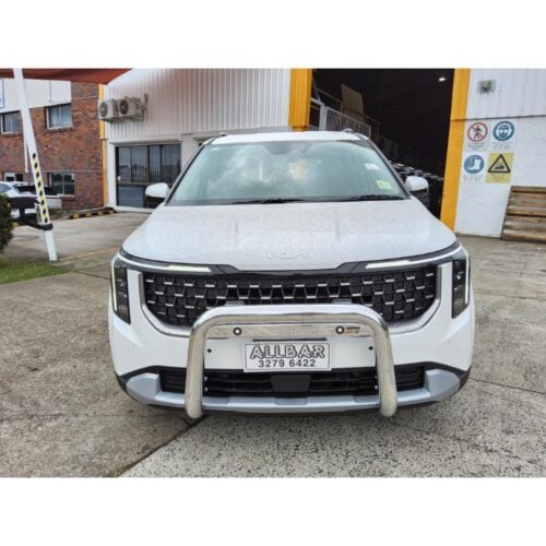 Polished Alloy Nudgebar with with 2 Light Tabs to suit 2024 Kia Carnival