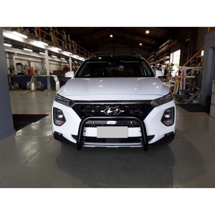 Hyundai-Santa-Fe-TM-Elite.jpg