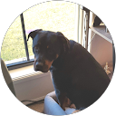 Renee Rypstra Renee Rypstra