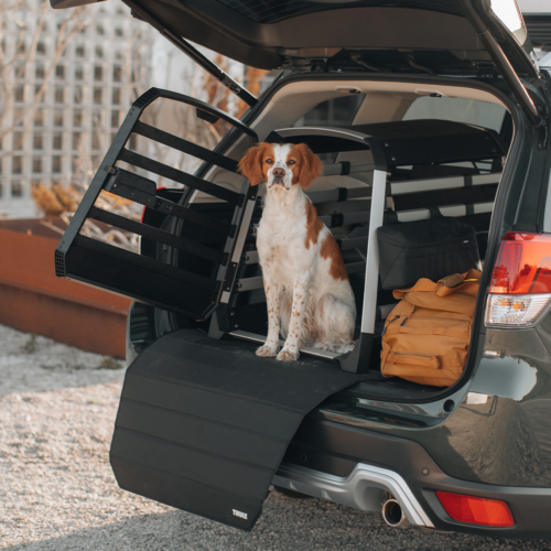 Thule Allax XS (770000) - Image 5