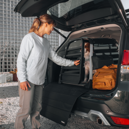 Thule Allax M (770002) - Image 6