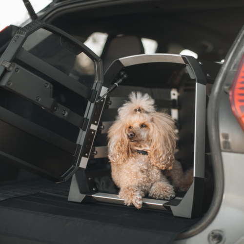 Thule Allax XS (770000) - Image 8