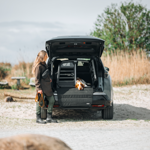 Thule Allax double S (770021) - Image 6