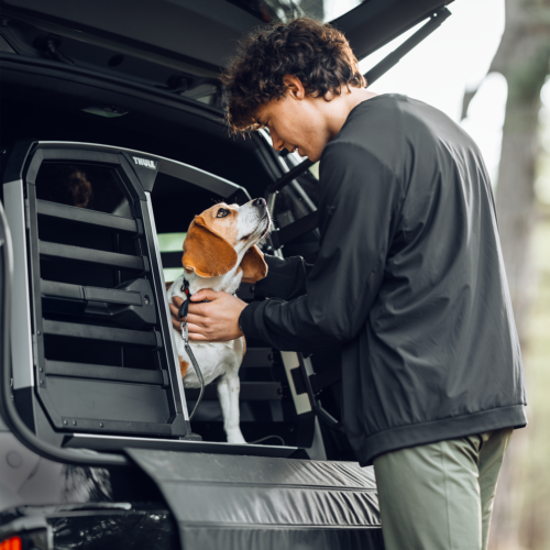 Thule Allax double L compact (770024) - Image 8